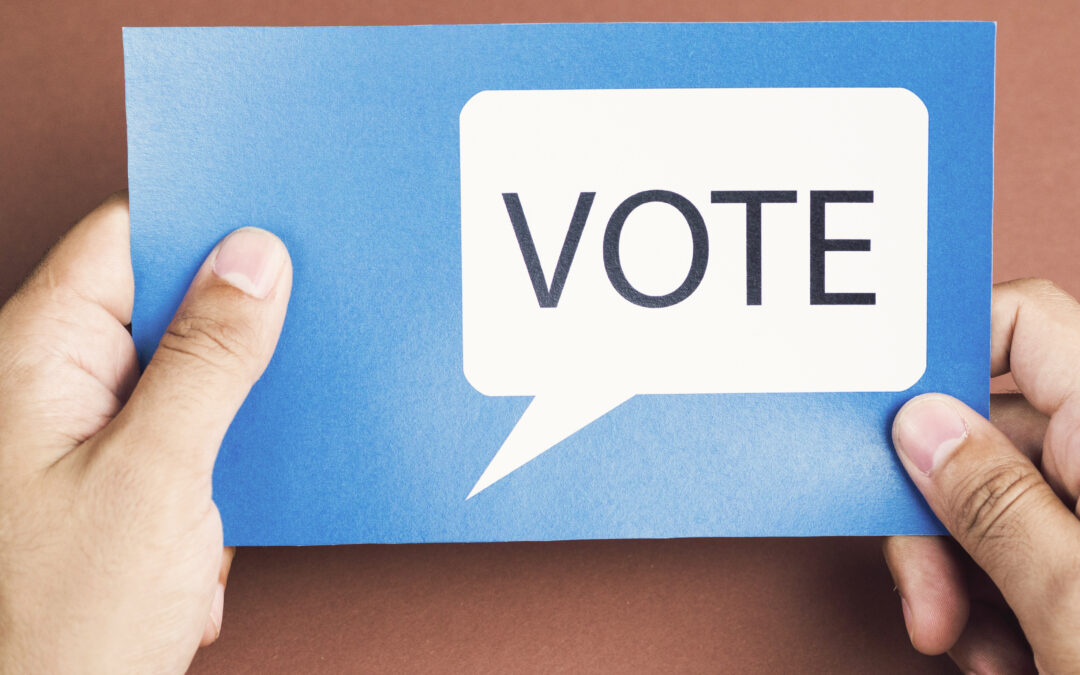 ELECTIONS DU CONSEIL DU LAGAM : en ligne le jeudi 05 février 2026