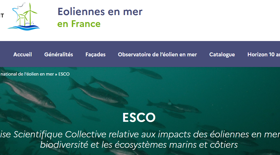 ESCO Eoliennes en mer