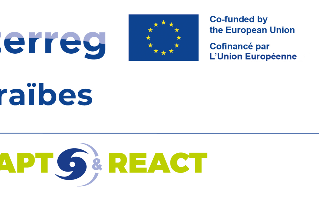 ADAPT&REACT